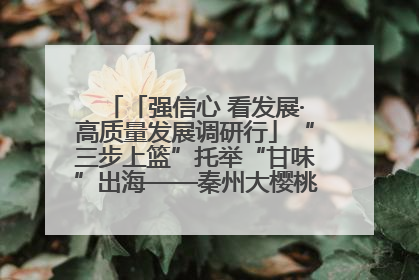 「强信心 看发展·高质量发展调研行」“三步上篮”托举“甘味”出海——秦州大樱桃高质量发展动作分解