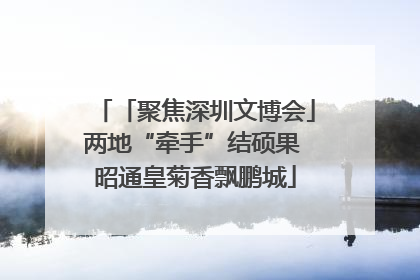 「聚焦深圳文博会」两地“牵手”结硕果 昭通皇菊香飘鹏城
