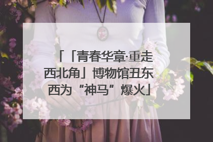 「青春华章·重走西北角」博物馆丑东西为“神马”爆火