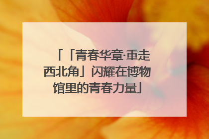 「青春华章·重走西北角」闪耀在博物馆里的青春力量