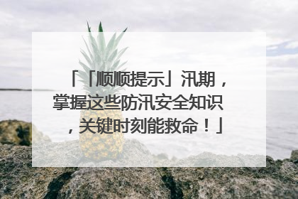 「顺顺提示」汛期，掌握这些防汛安全知识，关键时刻能救命！
