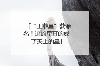 “王菲星”获命名！追的星真的成了天上的星