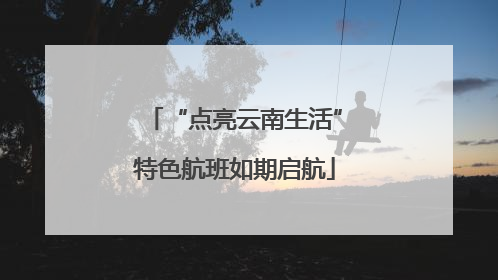 “点亮云南生活”特色航班如期启航