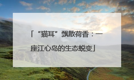 “猫耳”飘散荷香：一座江心岛的生态蜕变