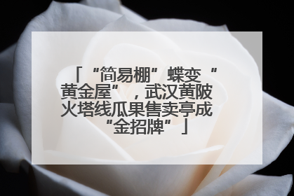 “简易棚”蝶变“黄金屋”，武汉黄陂火塔线瓜果售卖亭成“金招牌”