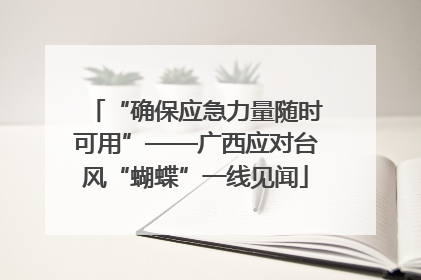“确保应急力量随时可用”——广西应对台风“蝴蝶”一线见闻
