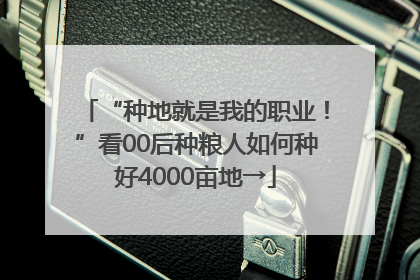 “种地就是我的职业！”看00后种粮人如何种好4000亩地→