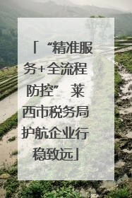 “精准服务+全流程防控” 莱西市税务局护航企业行稳致远