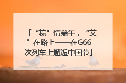 “粽”情端午，“艾”在路上——在G66次列车上邂逅中国节