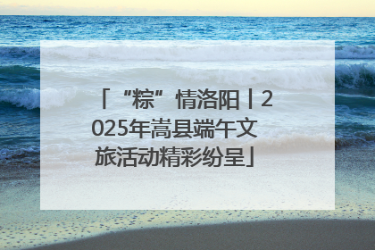 “粽”情洛阳丨2025年嵩县端午文旅活动精彩纷呈