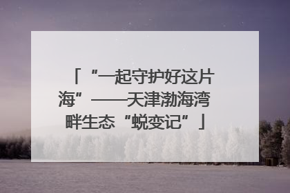 “一起守护好这片海”——天津渤海湾畔生态“蜕变记”