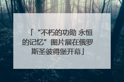 “不朽的功勋 永恒的记忆”图片展在俄罗斯圣彼得堡开幕