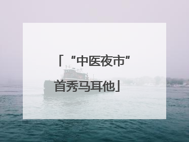 “中医夜市”首秀马耳他