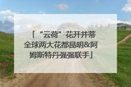 “云荷”花开并蒂 全球两大花都昆明&阿姆斯特丹强强联手