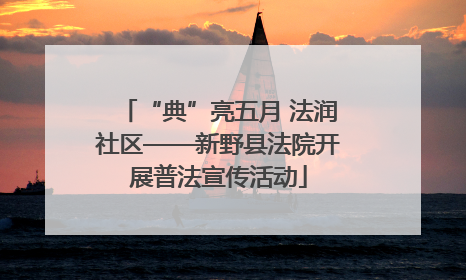 “典”亮五月 法润社区——新野县法院开展普法宣传活动