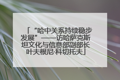 “哈中关系持续稳步发展”——访哈萨克斯坦文化与信息部副部长叶夫根尼·科切托夫