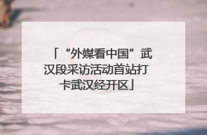 “外媒看中国”武汉段采访活动首站打卡武汉经开区