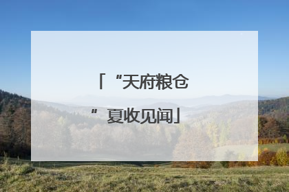 “天府粮仓”夏收见闻