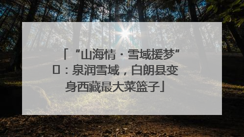 “山海情・雪域援梦”⑪：泉润雪域，白朗县变身西藏最大菜篮子