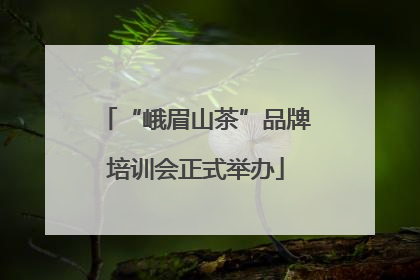 “峨眉山茶”品牌培训会正式举办