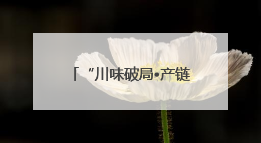 “川味破局•产链共创”食品产业工厂行暨川菜产业高质量发展座谈会举办