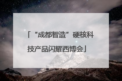 “成都智造”硬核科技产品闪耀西博会