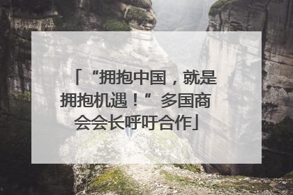 “拥抱中国，就是拥抱机遇！”多国商会会长呼吁合作