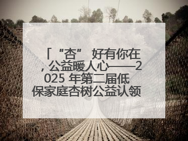 “杏” 好有你在，公益暖人心——2025 年第二届低保家庭杏树公益认领活动开启