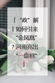“政”解丨如何引来“金凤凰”？河南亮出“一盘棋”