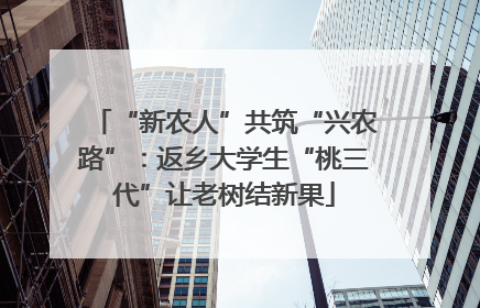 “新农人”共筑“兴农路”：返乡大学生“桃三代”让老树结新果