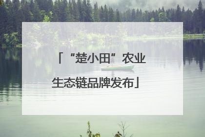 “楚小田”农业生态链品牌发布