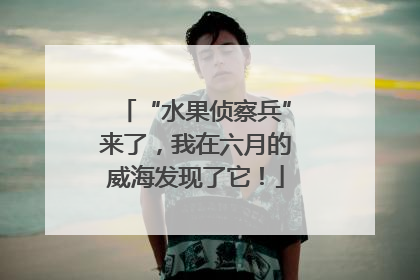 “水果侦察兵”来了，我在六月的威海发现了它！