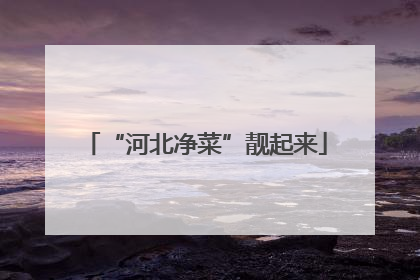“河北净菜”靓起来