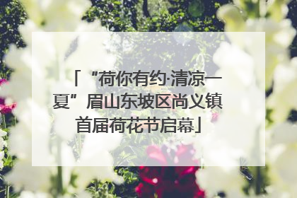 “荷你有约·清凉一夏”眉山东坡区尚义镇首届荷花节启幕