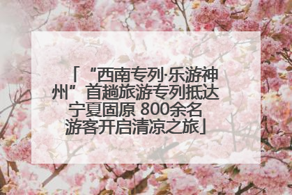 “西南专列·乐游神州”首趟旅游专列抵达宁夏固原 800余名游客开启清凉之旅