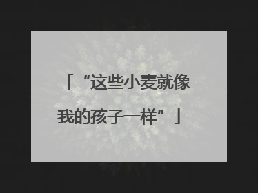 “这些小麦就像我的孩子一样”