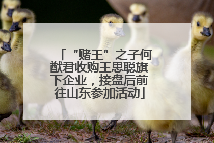 “赌王”之子何猷君收购王思聪旗下企业，接盘后前往山东参加活动
