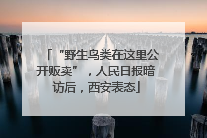 “野生鸟类在这里公开贩卖”，人民日报暗访后，西安表态