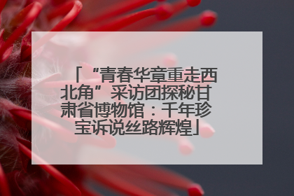 “青春华章重走西北角”采访团探秘甘肃省博物馆：千年珍宝诉说丝路辉煌