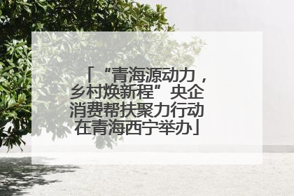 “青海源动力，乡村焕新程”央企消费帮扶聚力行动在青海西宁举办
