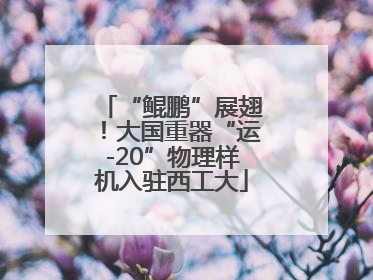 “鲲鹏”展翅！大国重器“运-20”物理样机入驻西工大