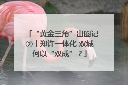 “黄金三角”出圈记②丨郑许一体化 双城何以“双成”？