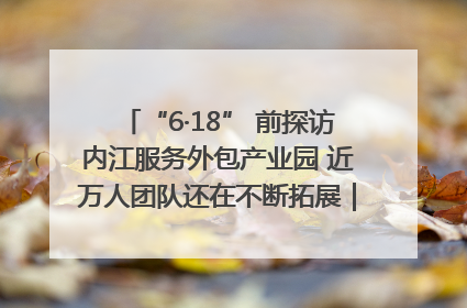 “6·18” 前探访内江服务外包产业园 近万人团队还在不断拓展｜内江东兴“红”在哪⑤