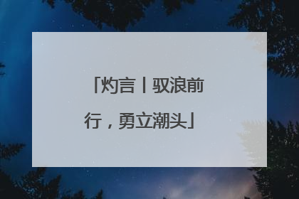 灼言丨驭浪前行，勇立潮头