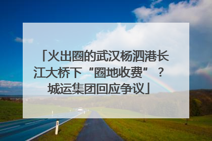 火出圈的武汉杨泗港长江大桥下“圈地收费”？城运集团回应争议