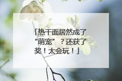 热干面居然成了“萌宠”？还获了奖！太会玩！