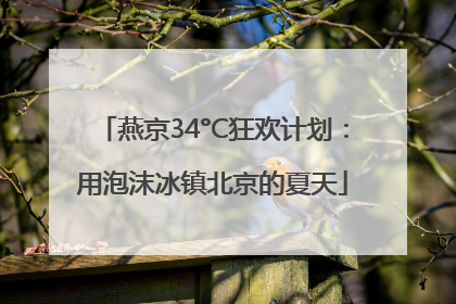 燕京34°C狂欢计划：用泡沫冰镇北京的夏天