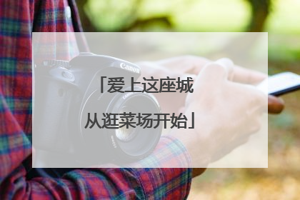 爱上这座城 从逛菜场开始