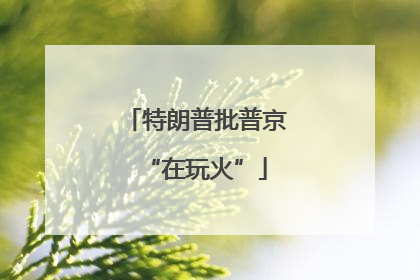 特朗普批普京“在玩火”