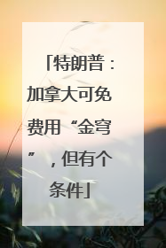 特朗普：加拿大可免费用“金穹”，但有个条件